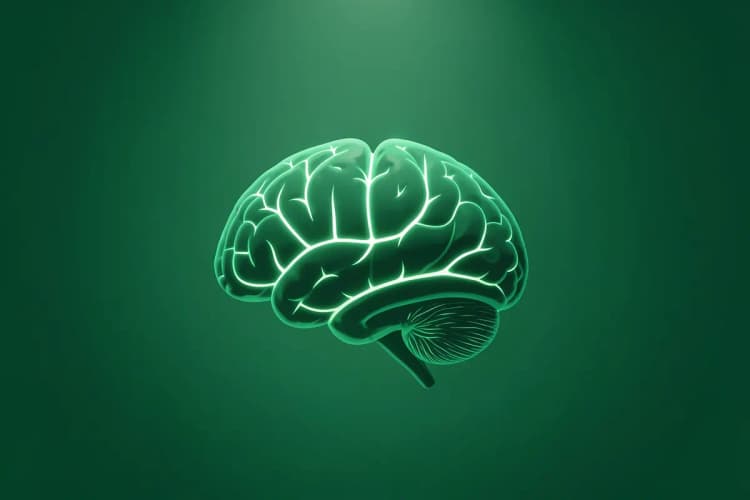 Uma representação visual do cérebro humano com áreas iluminadas indicando atividade neural