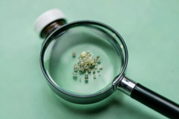 Um frasco de melatonina com uma lupa focando em uma pequena dose do suplemento