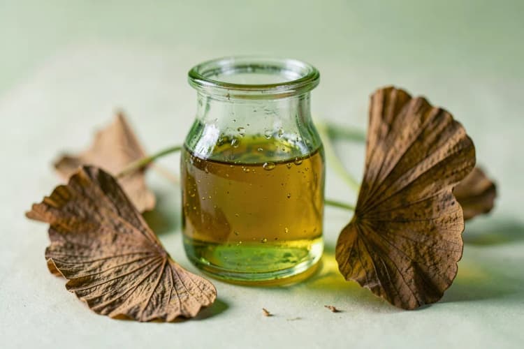 Um copo de shot com extrato líquido de Ginkgo Biloba ao lado de folhas secas.