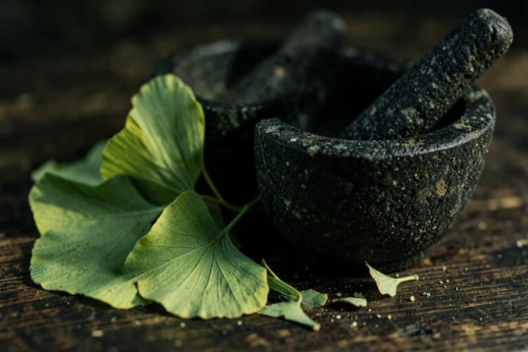 Um close-up de folhas secas de Ginkgo Biloba e um pilão com pilão em uma superfície de madeira escura.