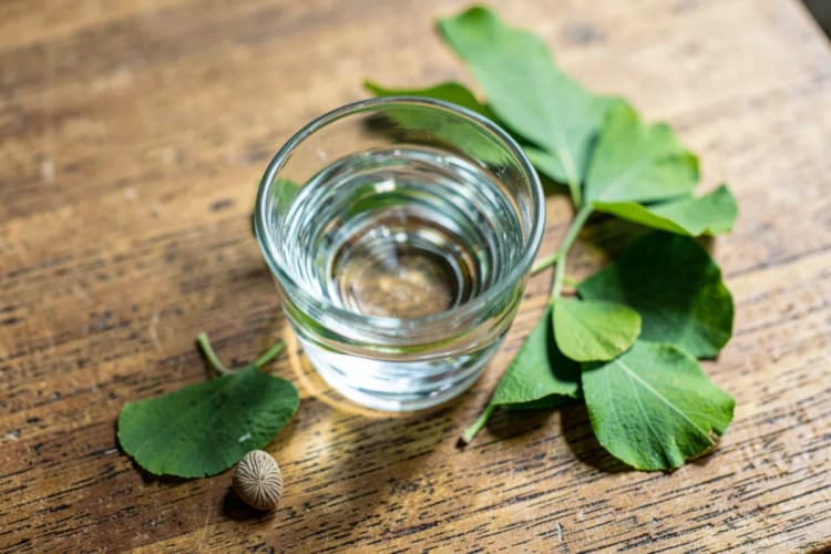 Uma visão aérea de um copo de água com um comprimido de Ginkgo Biloba ao lado de folhas verdes frescas em uma mesa de madeira.